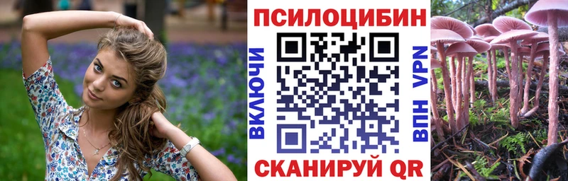 Псилоцибиновые грибы Psilocybe  площадка клад  Горбатов 